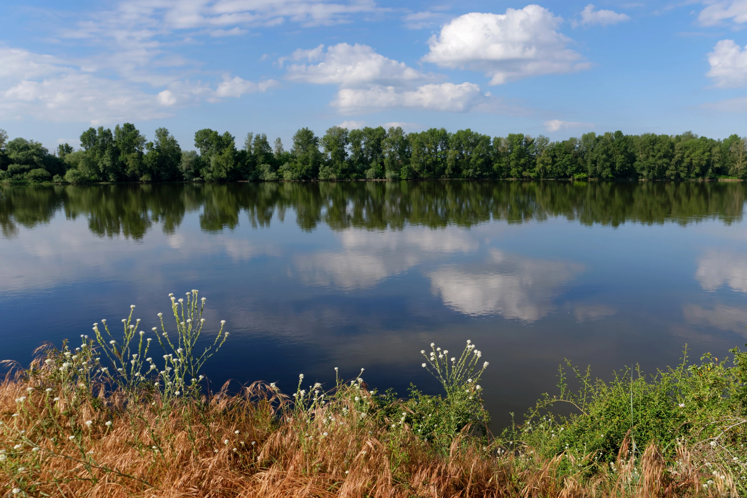 Vouvray[1].webp